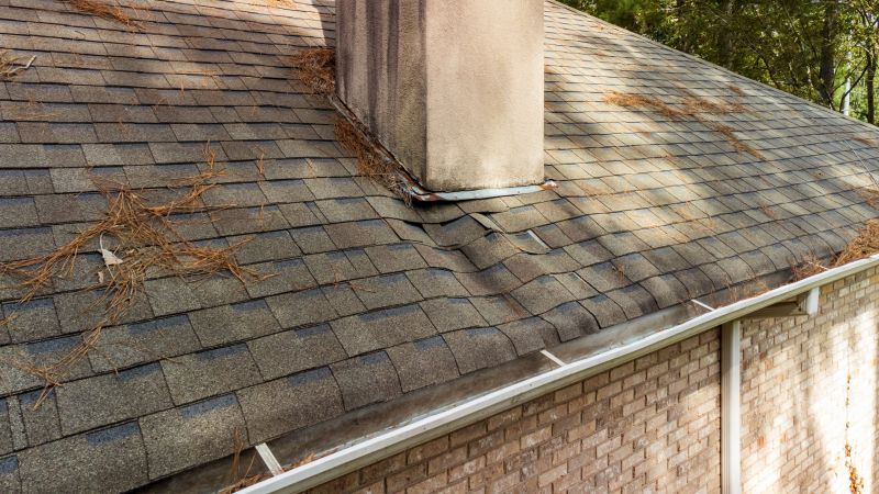 Gutter and Roof Inspection